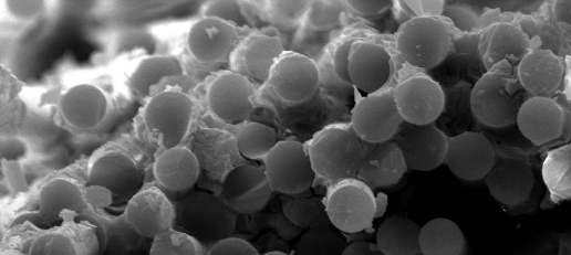 1xBET·Signup(中国区)-官方网站