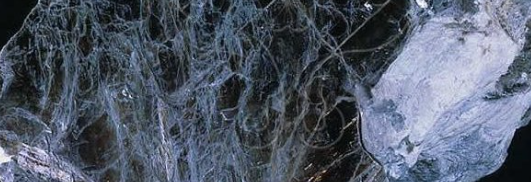 1xBET·Signup(中国区)-官方网站