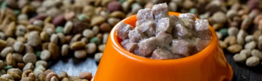 1xBET·Signup(中国区)-官方网站