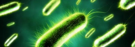 1xBET·Signup(中国区)-官方网站