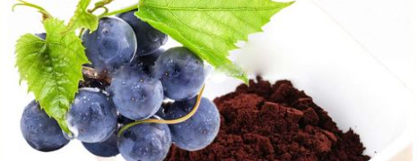 1xBET·Signup(中国区)-官方网站