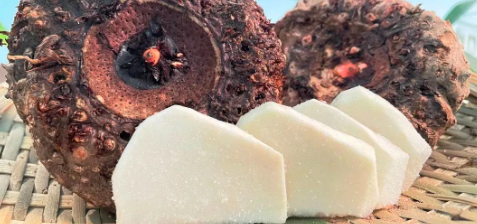 1xBET·Signup(中国区)-官方网站