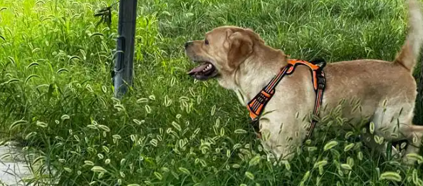 1xBET·Signup(中国区)-官方网站