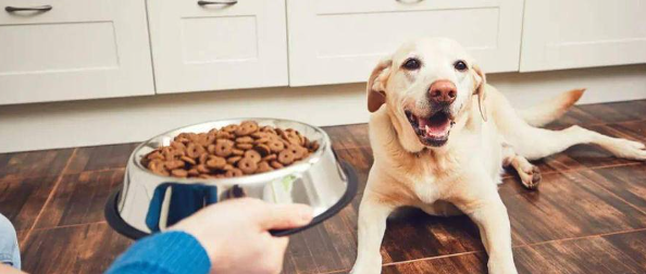 1xBET·Signup(中国区)-官方网站