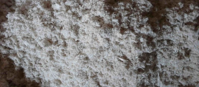 1xBET·Signup(中国区)-官方网站