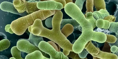 1xBET·Signup(中国区)-官方网站