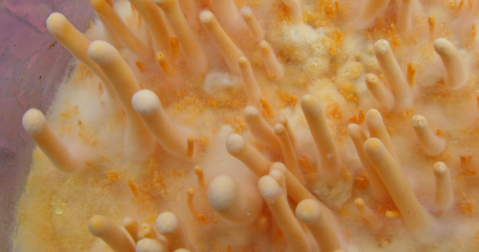 1xBET·Signup(中国区)-官方网站