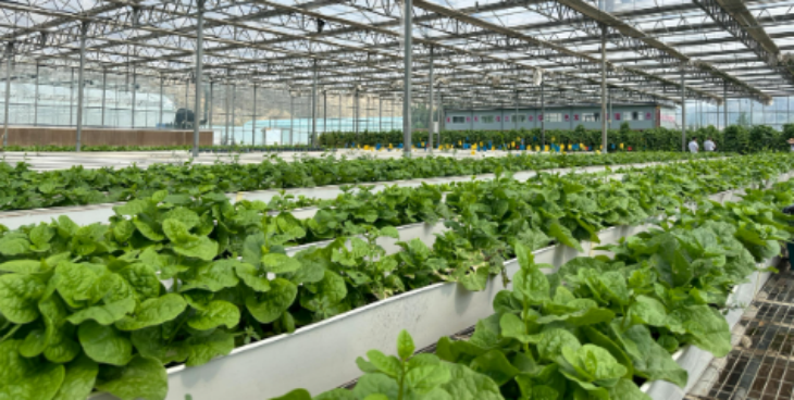 1xBET·Signup(中国区)-官方网站