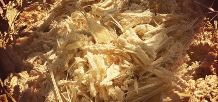 1xBET·Signup(中国区)-官方网站