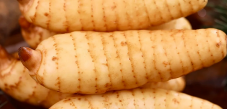 1xBET·Signup(中国区)-官方网站