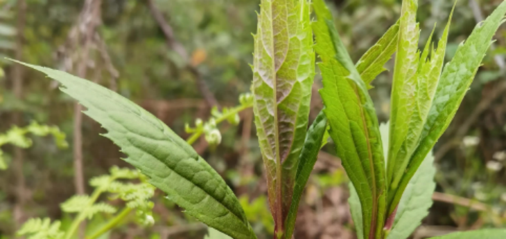 1xBET·Signup(中国区)-官方网站