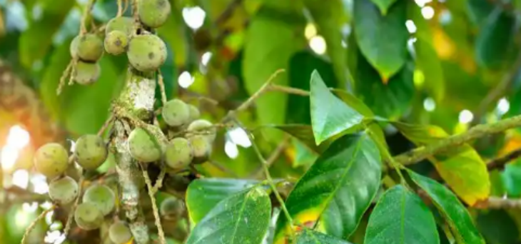 1xBET·Signup(中国区)-官方网站