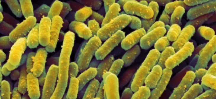 1xBET·Signup(中国区)-官方网站