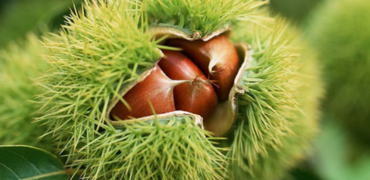 1xBET·Signup(中国区)-官方网站