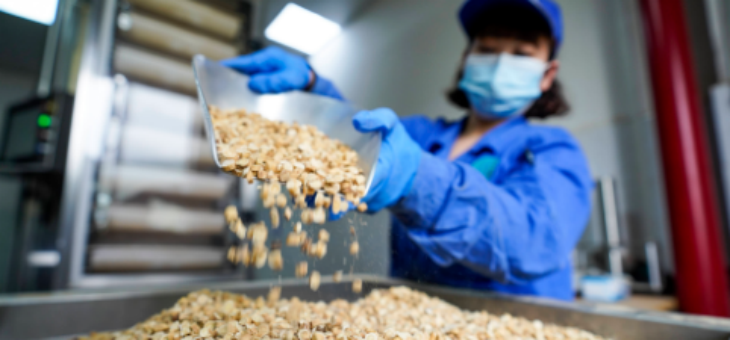 1xBET·Signup(中国区)-官方网站