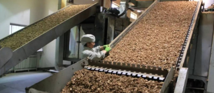 1xBET·Signup(中国区)-官方网站