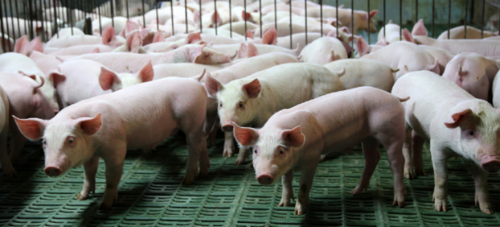 1xBET·Signup(中国区)-官方网站