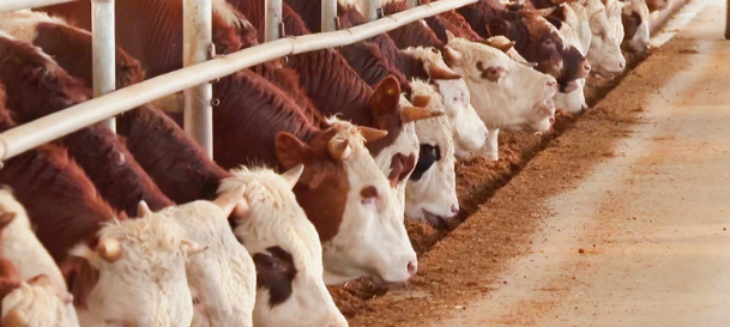 1xBET·Signup(中国区)-官方网站