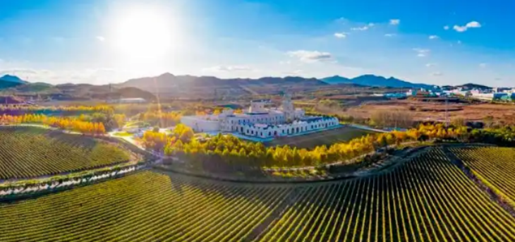 1xBET·Signup(中国区)-官方网站