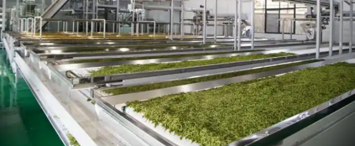 1xBET·Signup(中国区)-官方网站