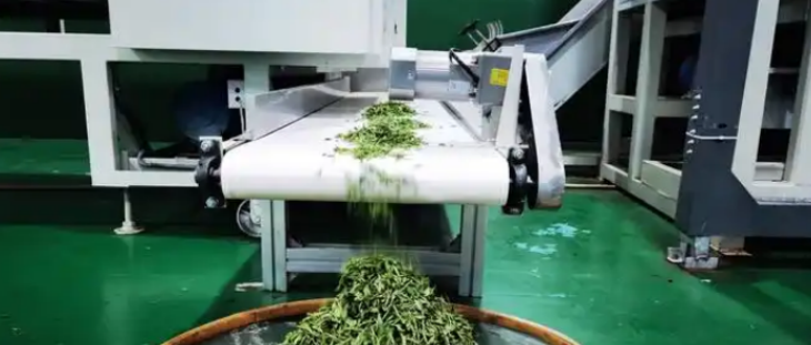 1xBET·Signup(中国区)-官方网站