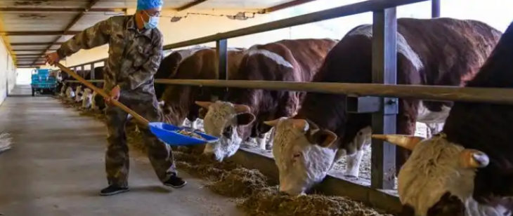 1xBET·Signup(中国区)-官方网站