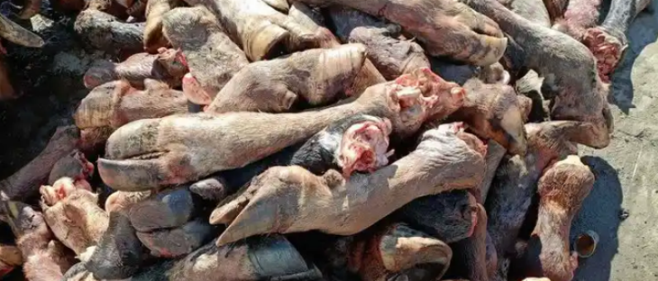 1xBET·Signup(中国区)-官方网站