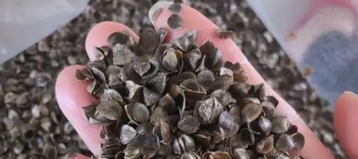 1xBET·Signup(中国区)-官方网站