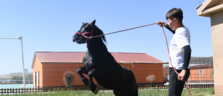 1xBET·Signup(中国区)-官方网站