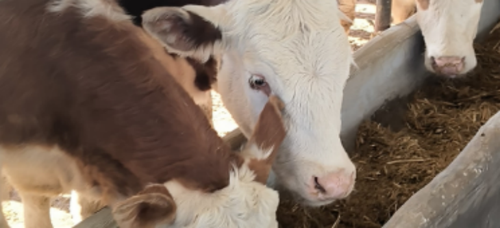 1xBET·Signup(中国区)-官方网站