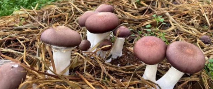 1xBET·Signup(中国区)-官方网站